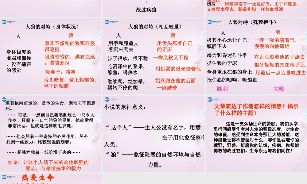九年级语文下册 8(热爱生命)课件3 新人教版 课件