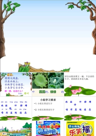 荷叶圆圆课件1