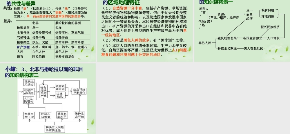 中考地理 撒哈拉以南的非洲专题复习课件