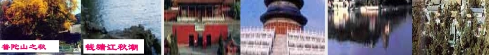 人教版高二语文故都的秋 课件