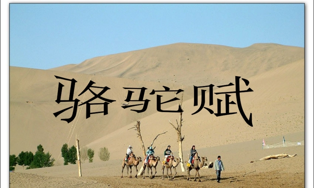 九年级语文上册：第1课(骆驼赋)课件鄂教版 课件