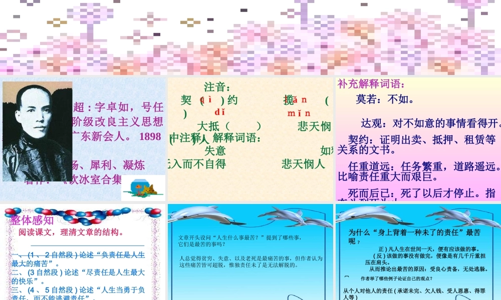 八年级语文最苦与最乐课件新人教版 课件