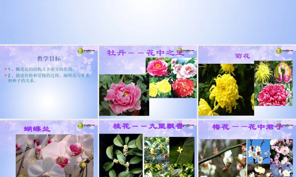 中学七年级生物上册 开花和结果课件 新人教版 课件