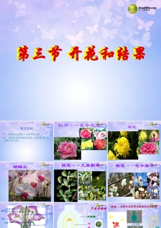 中学七年级生物上册 开花和结果课件 新人教版 课件