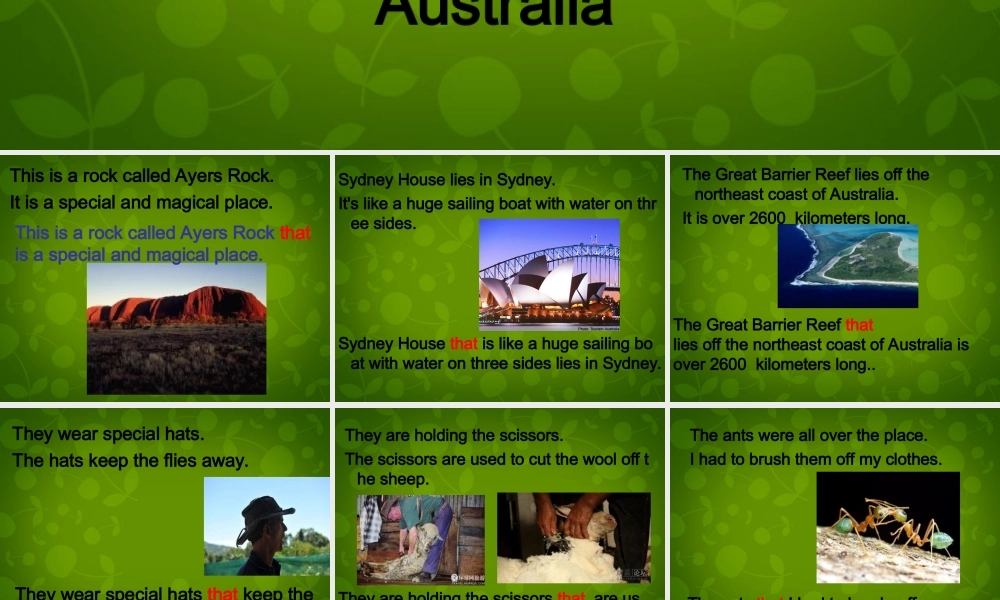 九年级英语上册 Module 10 Unit 1 I have some photos that I took in Australia last year课件 (新版)外研版 课件