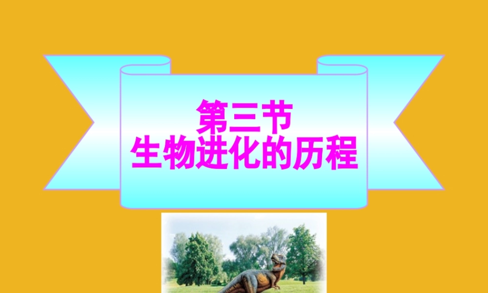 八年级生物下册 第五单元  第一章  第三节  生物进化的历程同步课件 济南版 课件