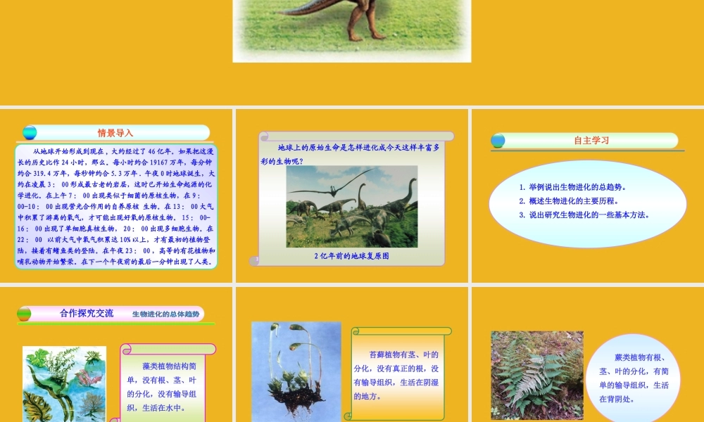 八年级生物下册 第五单元  第一章  第三节  生物进化的历程同步课件 济南版 课件