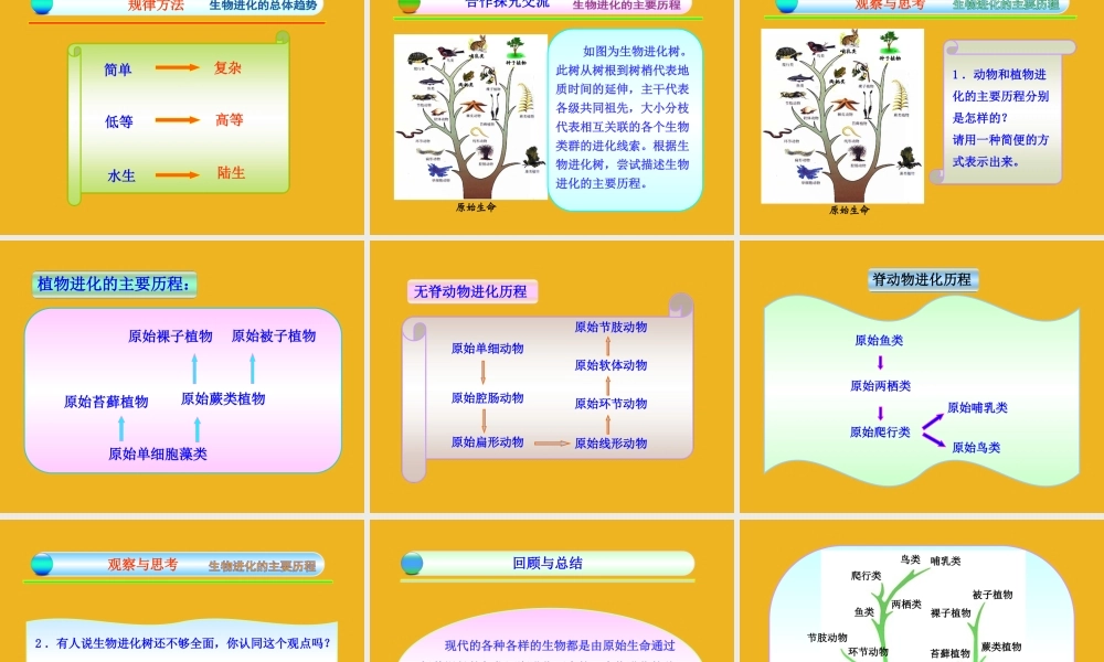 八年级生物下册 第五单元  第一章  第三节  生物进化的历程同步课件 济南版 课件
