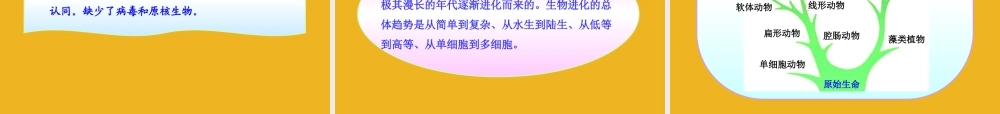 八年级生物下册 第五单元  第一章  第三节  生物进化的历程同步课件 济南版 课件