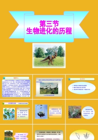 八年级生物下册 第五单元  第一章  第三节  生物进化的历程同步课件 济南版 课件