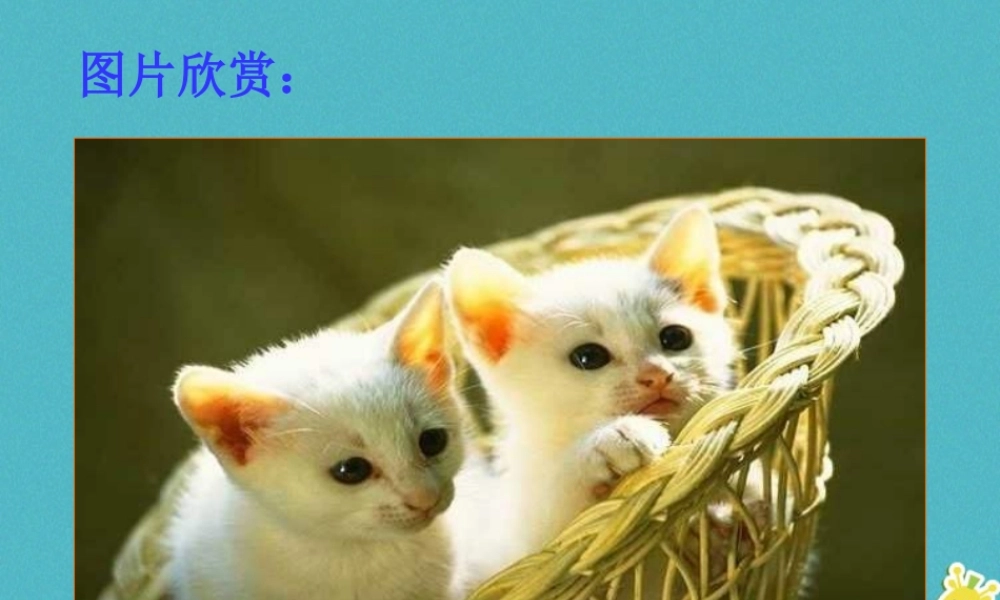 七年级语文上册 第五单元 第16课 猫课件 新人教版 课件