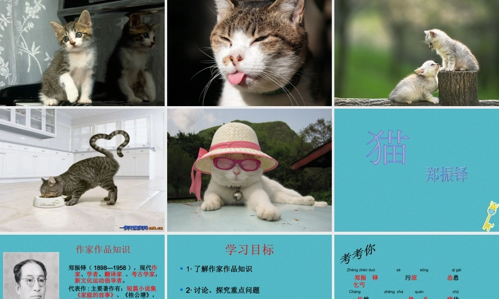 七年级语文上册 第五单元 第16课 猫课件 新人教版 课件