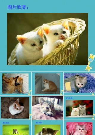 七年级语文上册 第五单元 第16课 猫课件 新人教版 课件