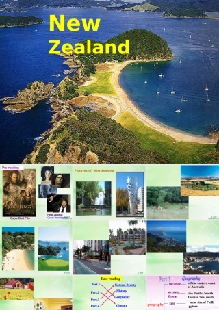 人教版高一英语Unit18 reading 课件