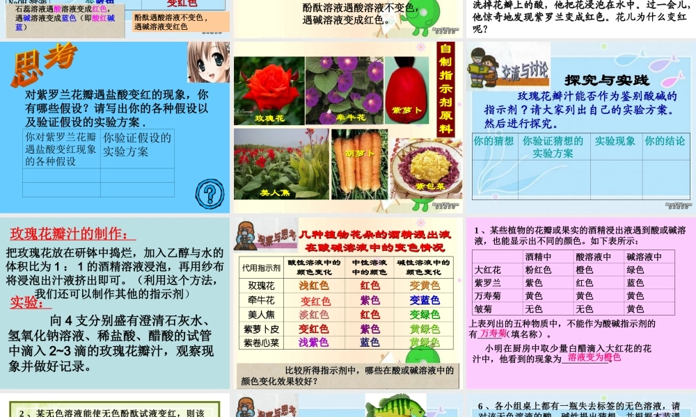 初中化学第十单元酸和碱课件 新课标 人教版 课件