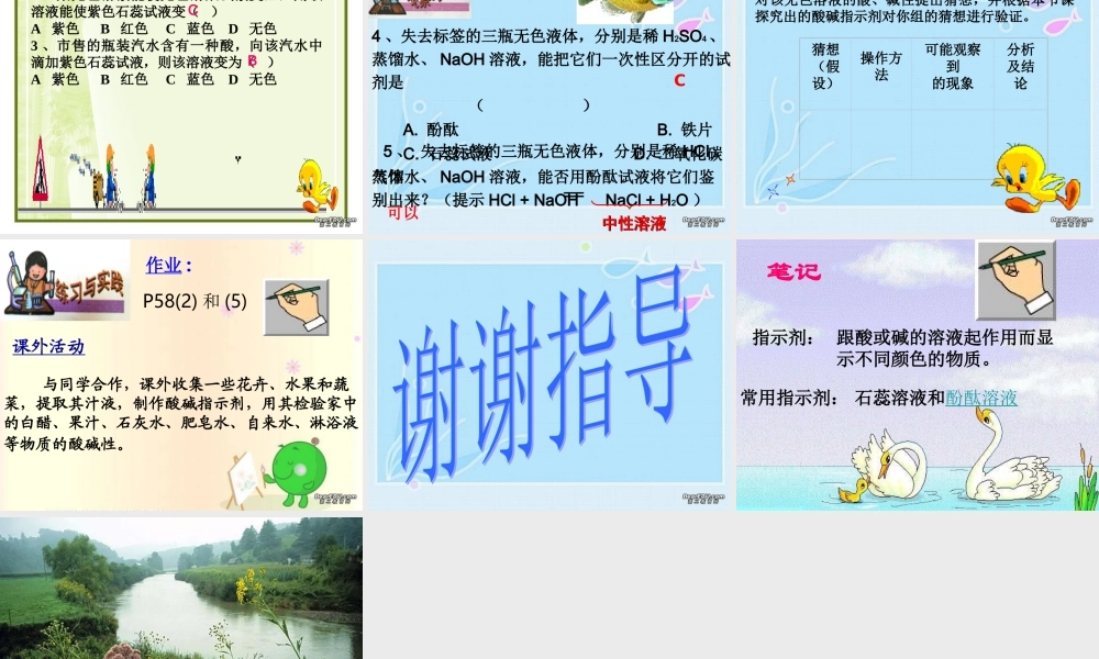 初中化学第十单元酸和碱课件 新课标 人教版 课件