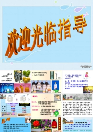 初中化学第十单元酸和碱课件 新课标 人教版 课件