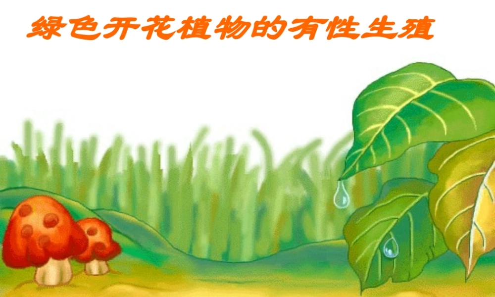 八年级生物植物的生殖课件新人教版 课件