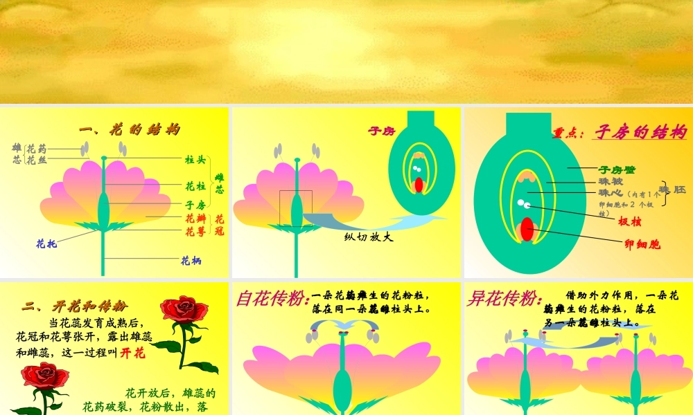 八年级生物植物的生殖课件新人教版 课件