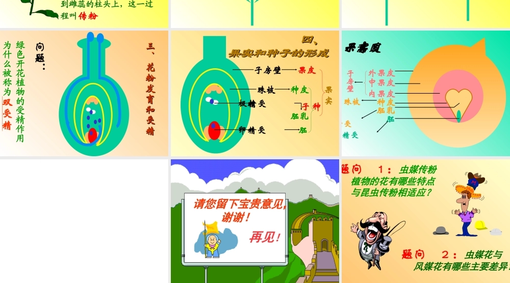 八年级生物植物的生殖课件新人教版 课件