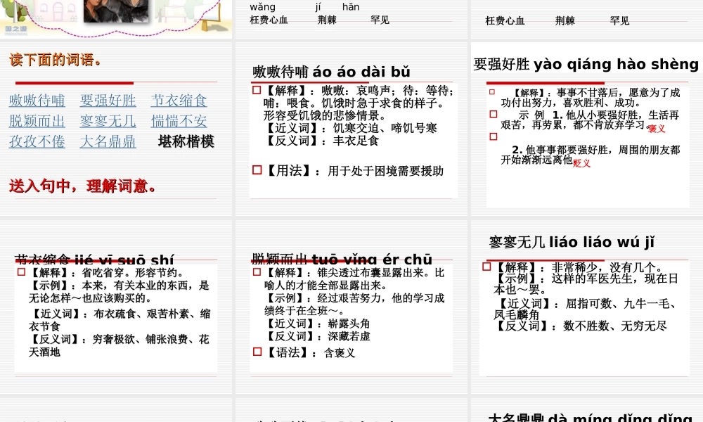 《小草和大树》课件 (2)