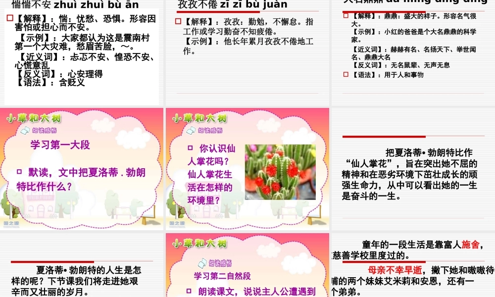 《小草和大树》课件 (2)