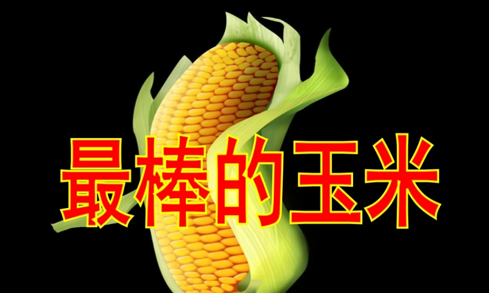 最棒的玉米__