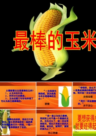 最棒的玉米__
