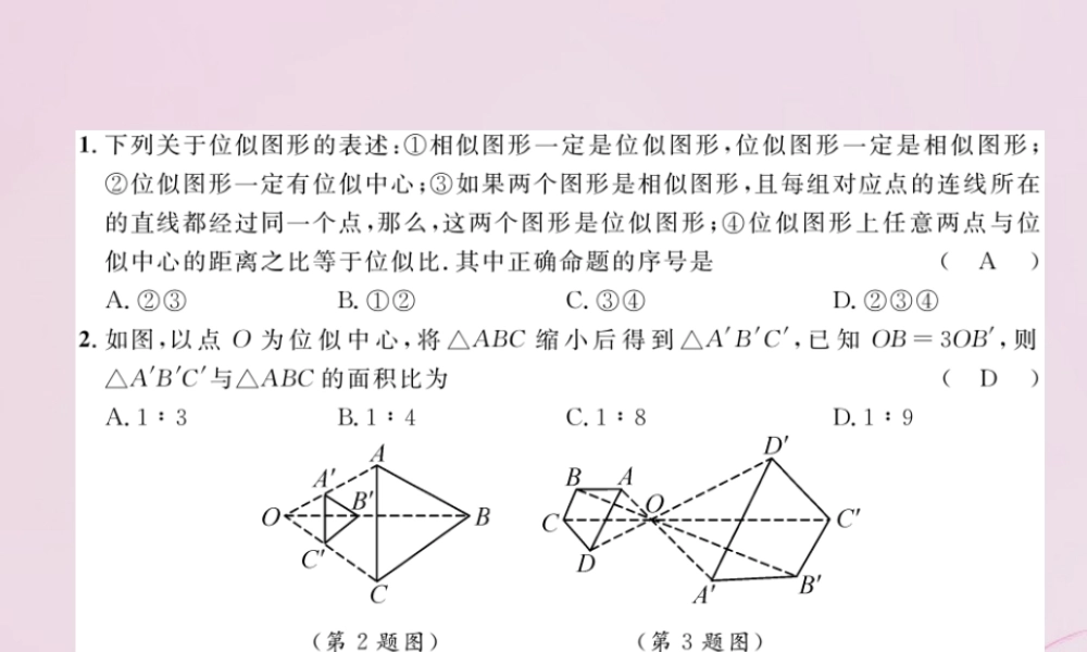 九年级数学上册 36 位似(第1课时)位似图形的概念及画法练习课件 (新版)湘教版 课件