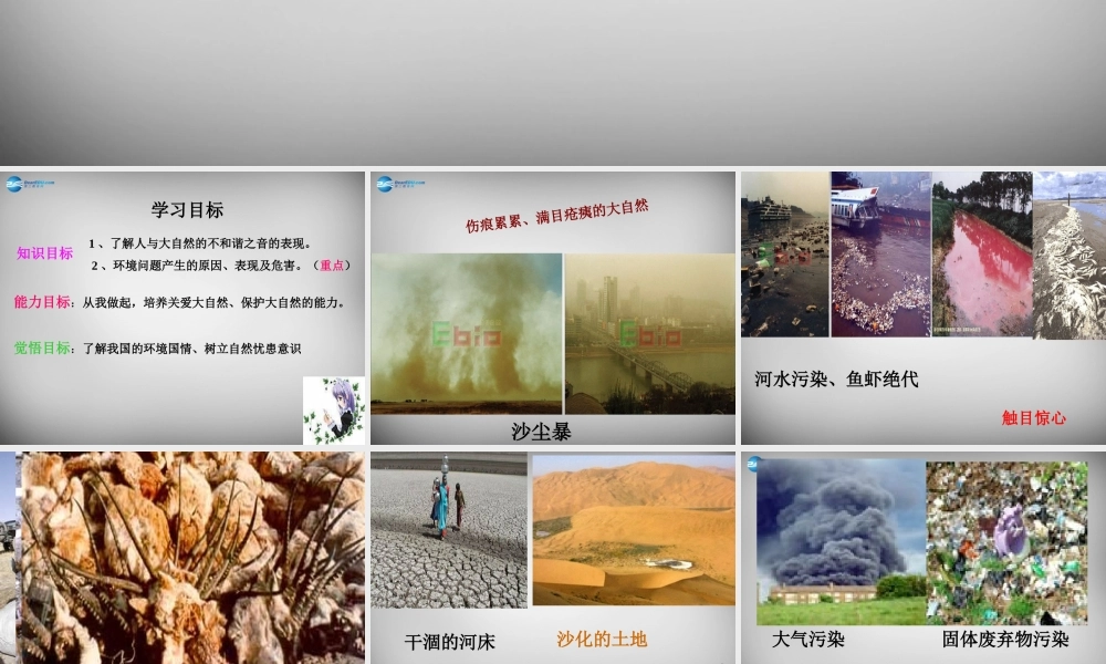 八年级政治下册 12.2 人与大自然的不和谐之音课件 鲁教版 课件