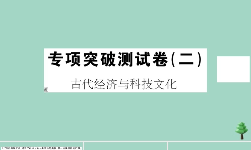 史上册 专项突破测试卷(二)作业课件 新人教版 课件