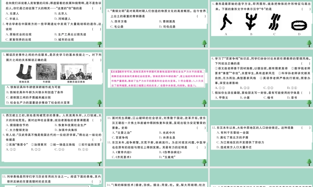 史上册 专项突破测试卷(二)作业课件 新人教版 课件