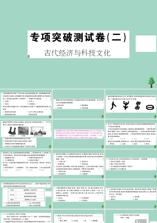 史上册 专项突破测试卷(二)作业课件 新人教版 课件
