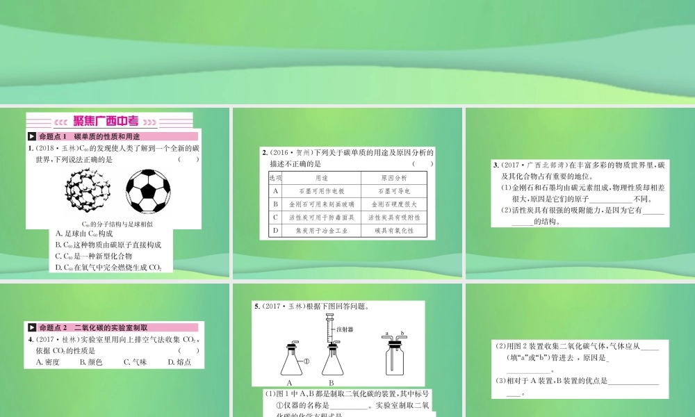 中考化学总复习 教材考点梳理 第6单元 碳和碳的氧化物课件