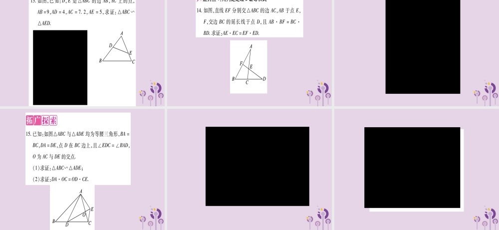 九年级数学上册 第22章 相似形 222 相似三角形的判定 第3课时 三角形相似的判定定理2作业课件 (新版)沪科版 课件