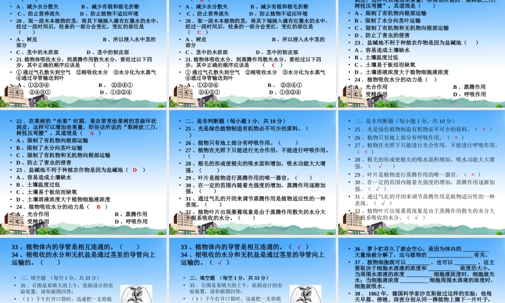 七年级生物上册 第五章绿色开花复习课件 北师大版 课件