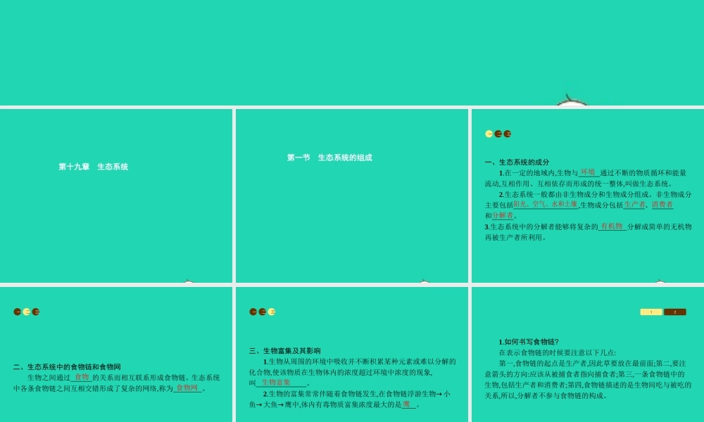 八年级生物上册 19.1 生态系统的组成课件 (新版)苏教版 课件
