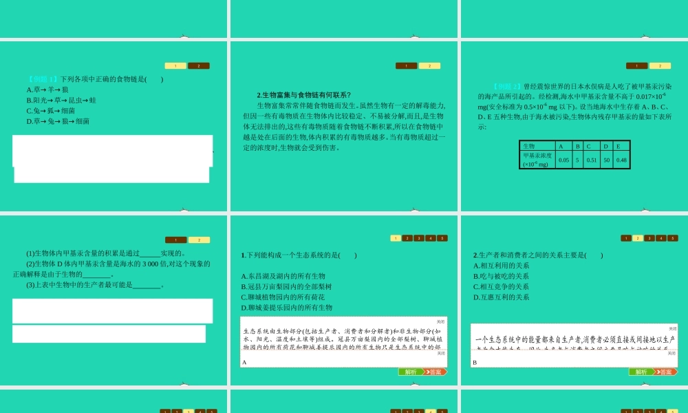 八年级生物上册 19.1 生态系统的组成课件 (新版)苏教版 课件