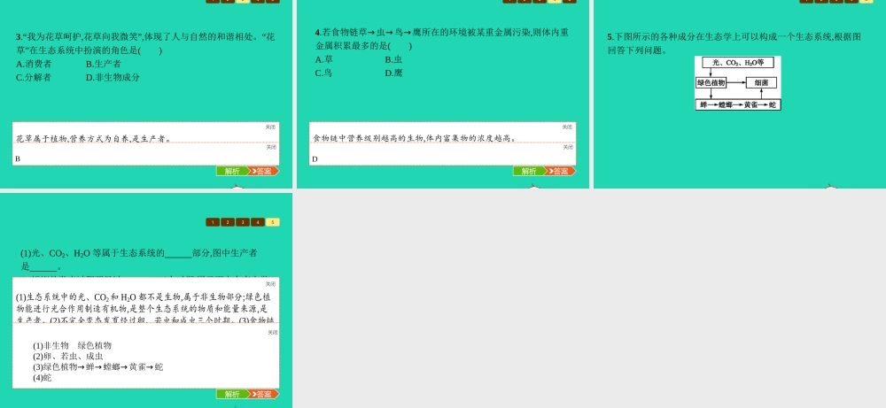 八年级生物上册 19.1 生态系统的组成课件 (新版)苏教版 课件