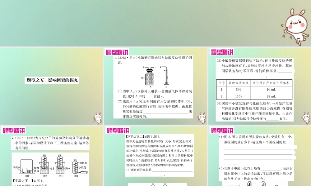 中考化学复习 题型复习(四)实验探究题 题型之五 影响因素的探究课件