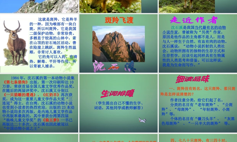 中学七年级语文下册 第27课 斑羚飞渡课件 (新版)新人教版 课件