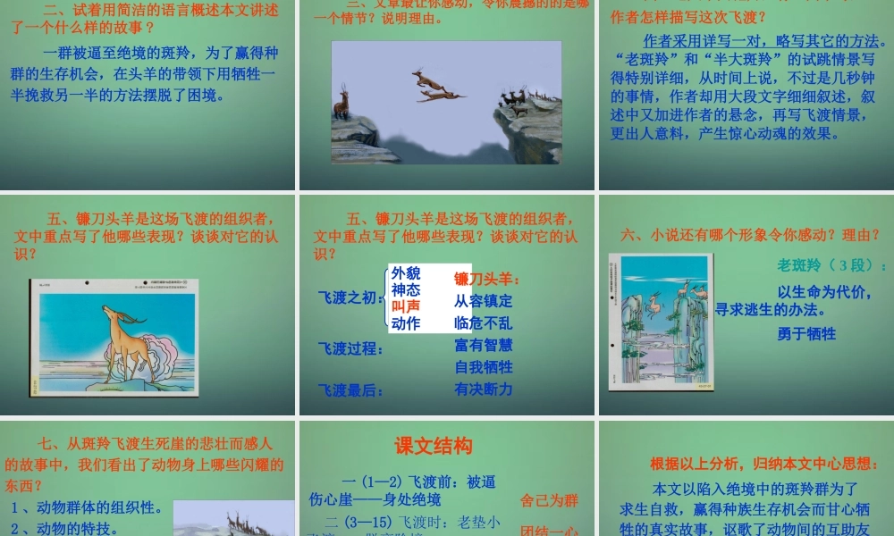 中学七年级语文下册 第27课 斑羚飞渡课件 (新版)新人教版 课件