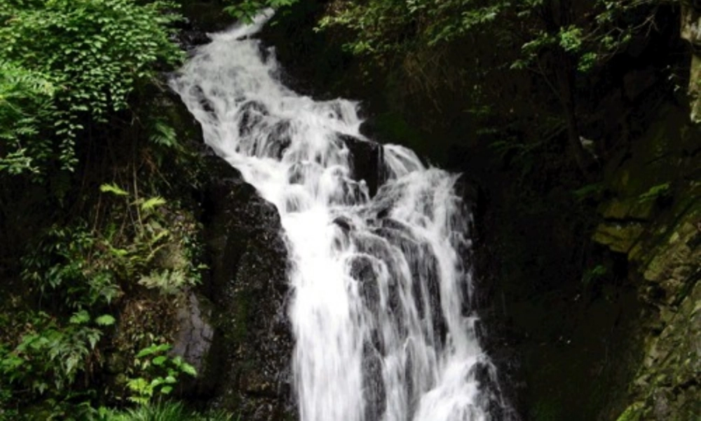 中学八年级语文上册 27 短文两篇课件 新人教版 课件