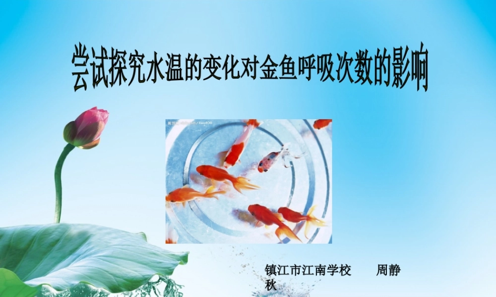 探究水温变化对金鱼呼吸次数的影响(参考)