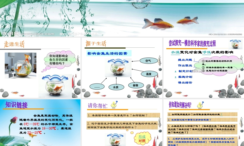 探究水温变化对金鱼呼吸次数的影响(参考)