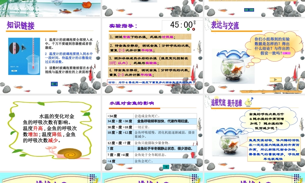 探究水温变化对金鱼呼吸次数的影响(参考)
