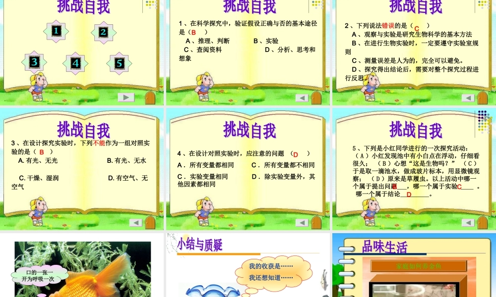 探究水温变化对金鱼呼吸次数的影响(参考)