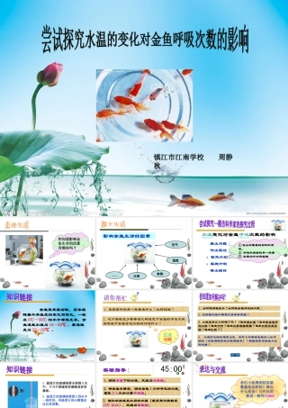 探究水温变化对金鱼呼吸次数的影响(参考)