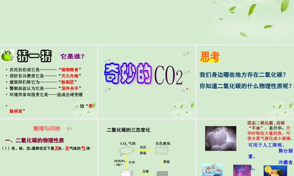 八年级化学 奇妙的二氧化碳课件 沪教版 课件