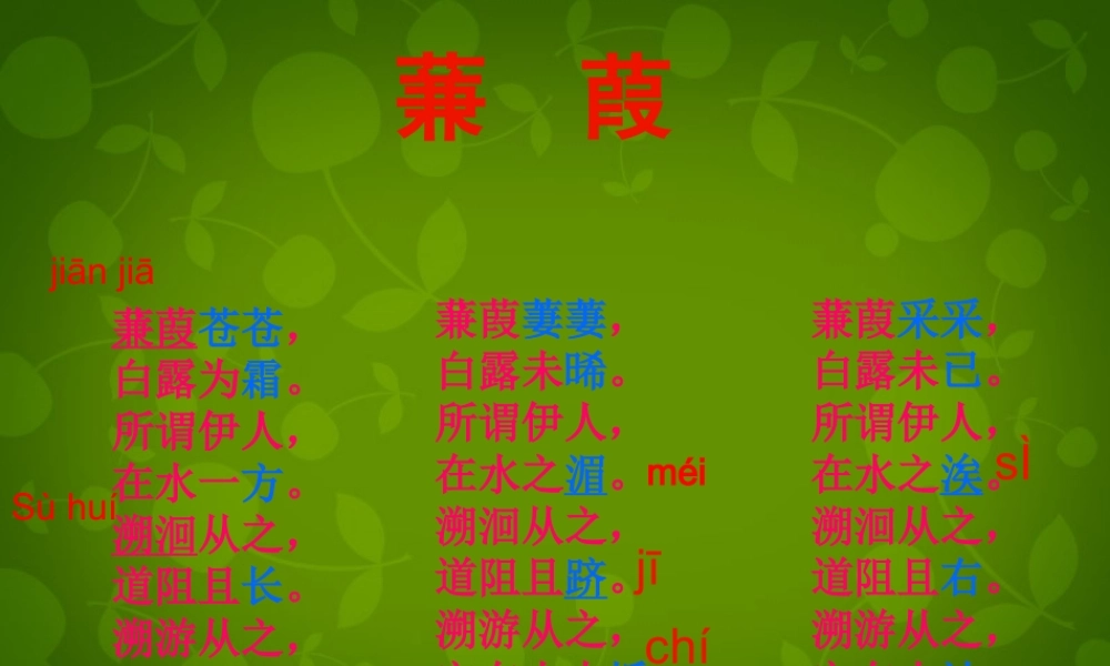 九年级语文下册 624(诗经两首)蒹葭课件 (新版)新人教版 课件